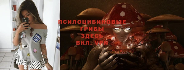 спайс Богородск