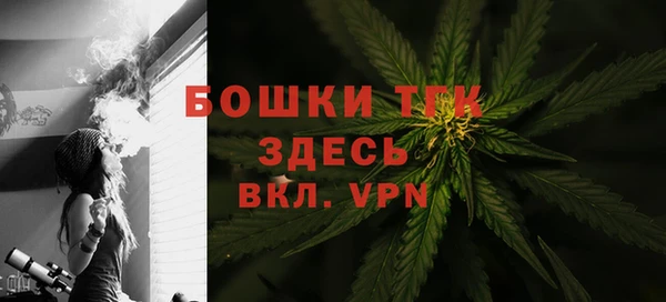эйфоретик Богданович