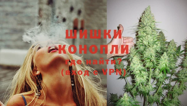 спайс Богородск
