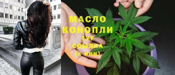 эйфоретик Богданович